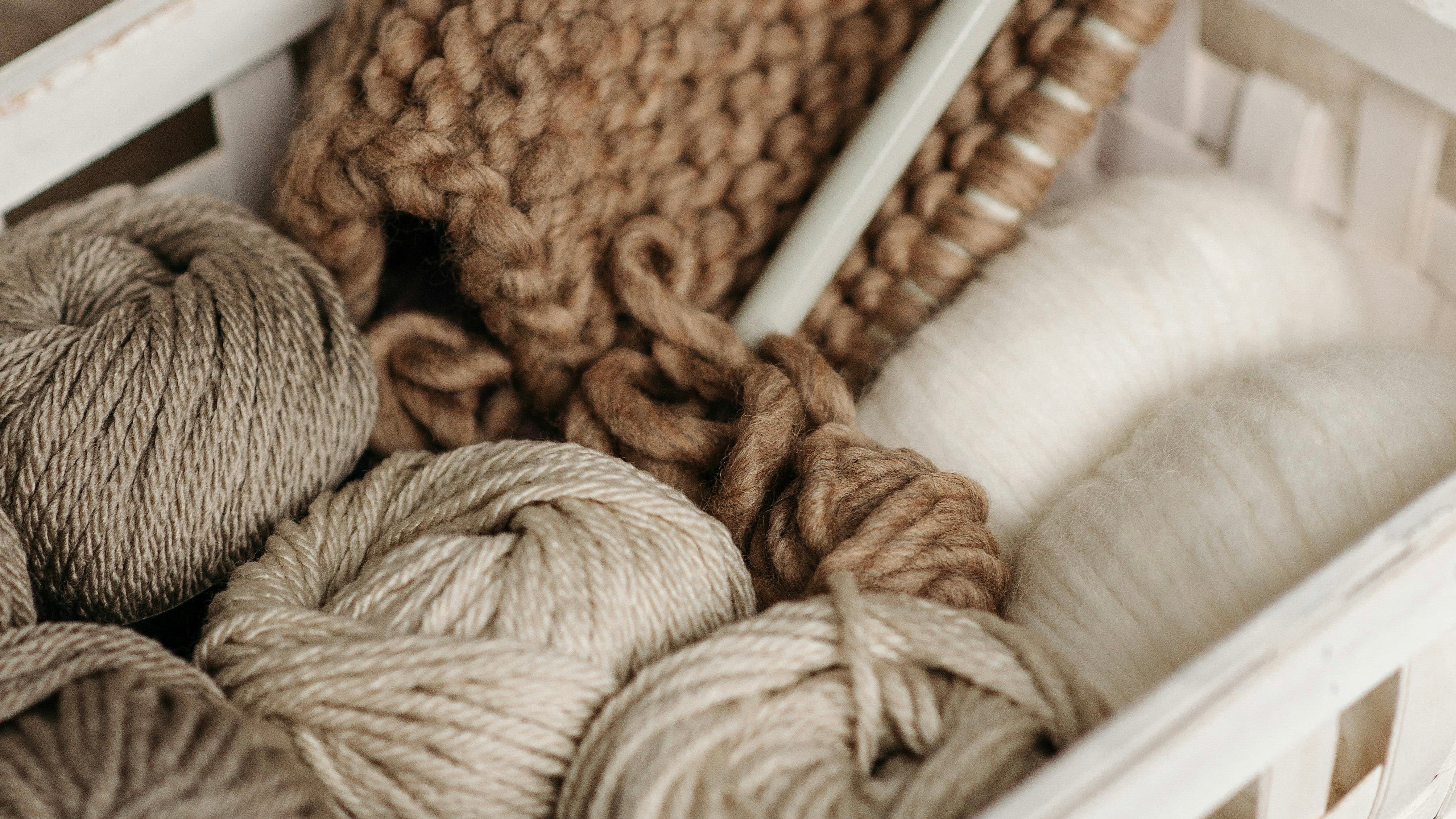 Wool - A Profound Catalyst in Human Evolution